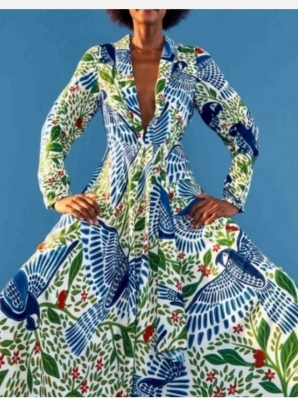 Women’s Blue & Green Bird Print Maxi Dress